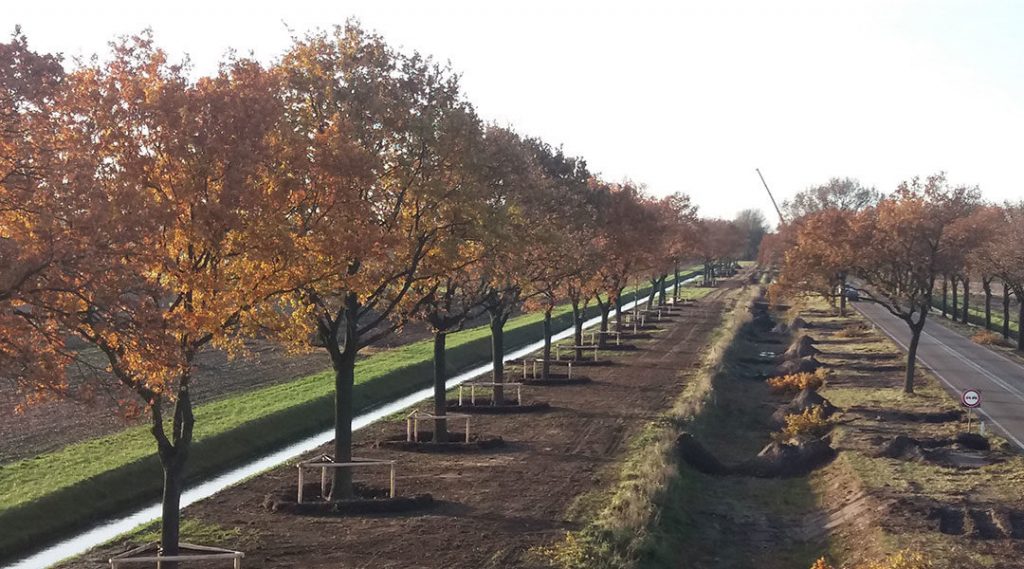 Groene gebieden in stedelijke omgeving - advies en realisatie op groengebied